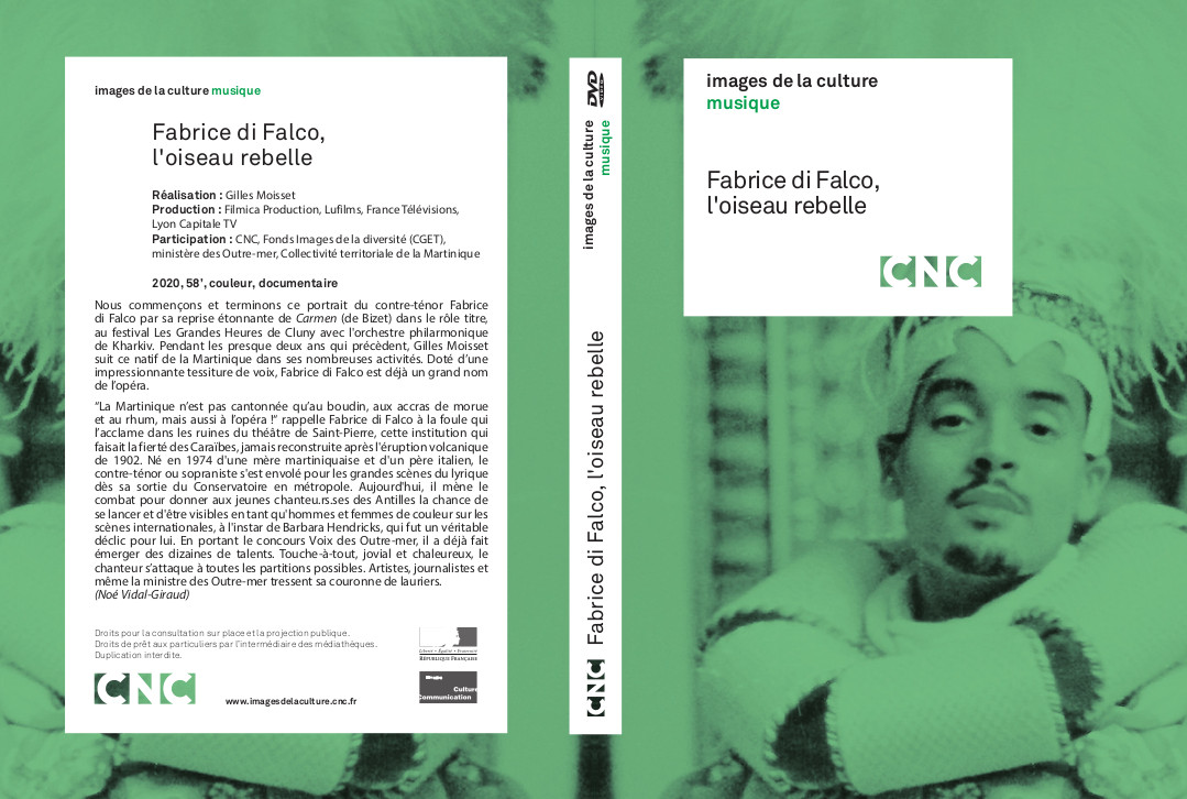 Images De La Culture Fabrice Di Falco Loiseau Rebelle Catalogue Général