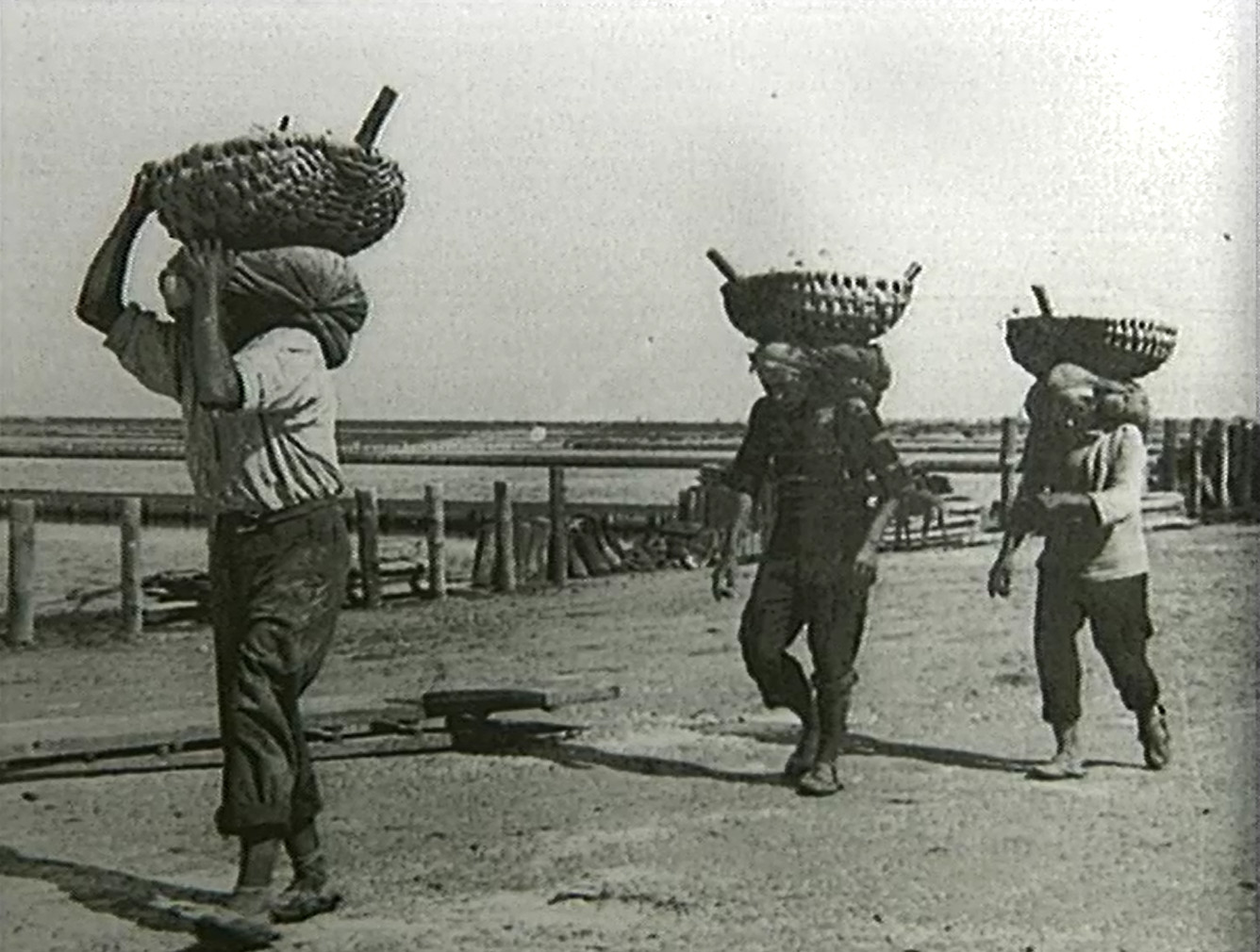 Images De La Culture : Siècle D'immigrations En France (Un) - 2. Du ...