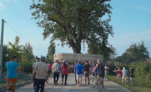 L’homme qui déplantait des arbres